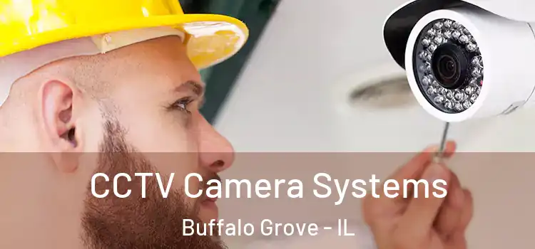 CCTV Camera Systems Buffalo Grove - IL