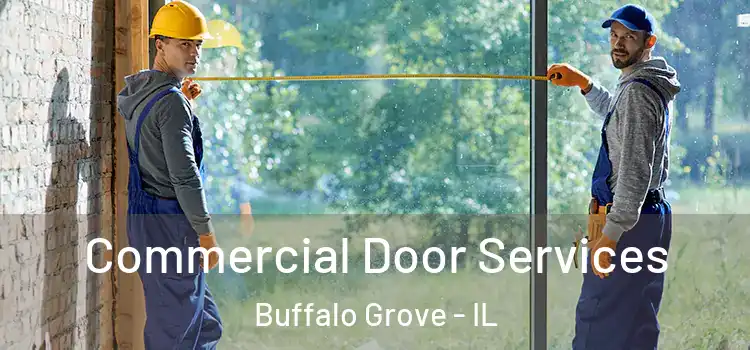 Commercial Door Services Buffalo Grove - IL