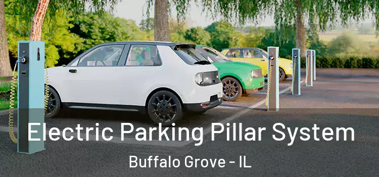 Electric Parking Pillar System Buffalo Grove - IL