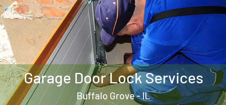 Garage Door Lock Services Buffalo Grove - IL