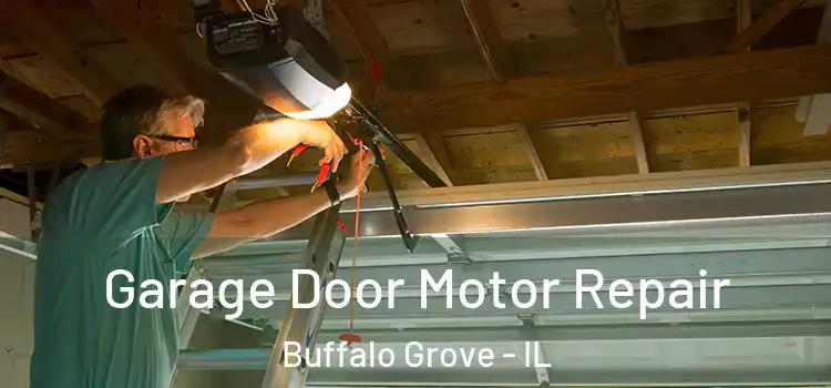  Garage Door Motor Repair Buffalo Grove - IL