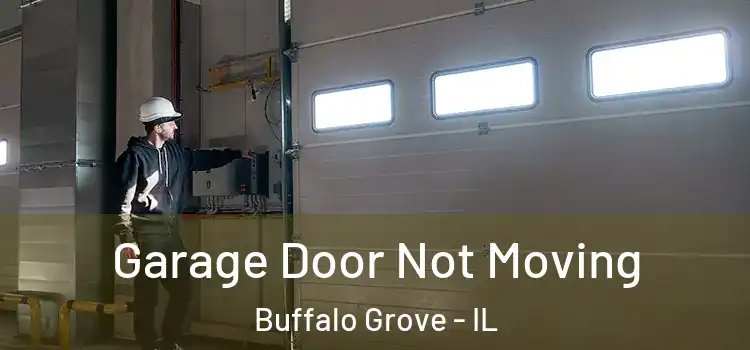  Garage Door Not Moving Buffalo Grove - IL