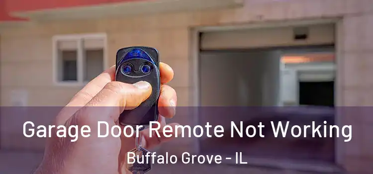  Garage Door Remote Not Working Buffalo Grove - IL