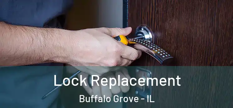 Lock Replacement Buffalo Grove - IL