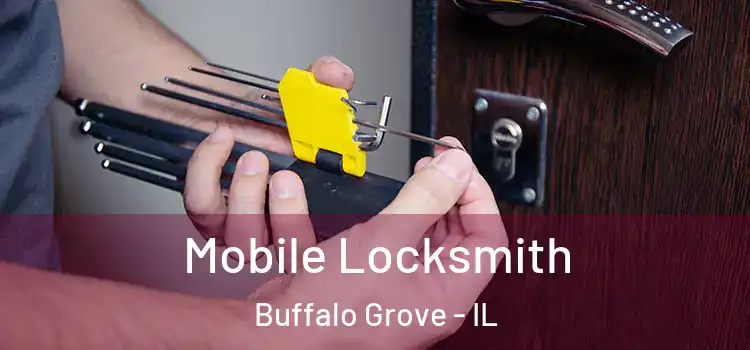 Mobile Locksmith Buffalo Grove - IL