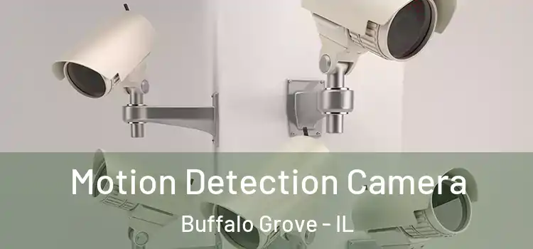  Motion Detection Camera Buffalo Grove - IL